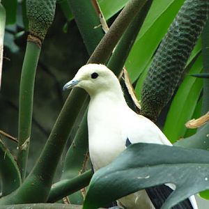 Bristol Zoo 1.05.2010