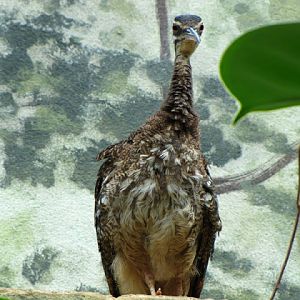 Bristol Zoo 1.05.2010