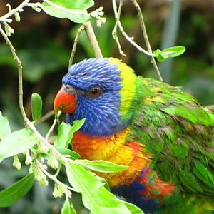 Bristol Zoo 1.05.2010