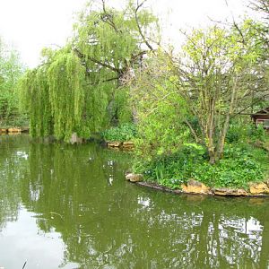 Bristol Zoo 1.05.2010