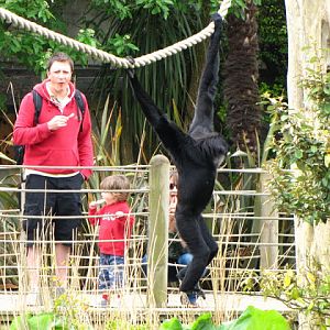 Bristol Zoo 1.05.2010