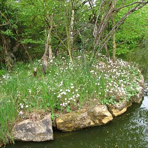 Bristol Zoo 1.05.2010