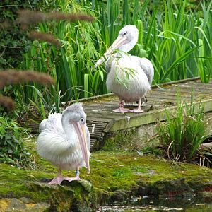 Bristol Zoo 1.05.2010