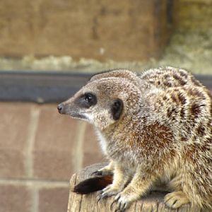 Bristol Zoo 1.05.2010