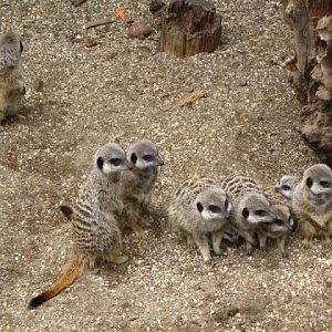 Bristol Zoo 1.05.2010