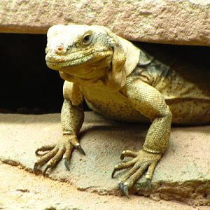 Bristol Zoo 1.05.2010