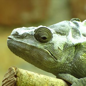 Bristol Zoo 1.05.2010