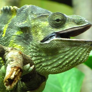 Bristol Zoo 1.05.2010