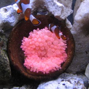 Bristol Zoo 1.05.2010