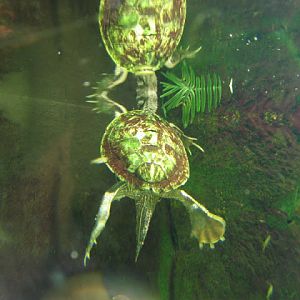 Blue Reef Aquarium 25.04.2009