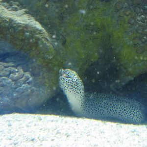 Blue Reef Aquarium 25.04.2009