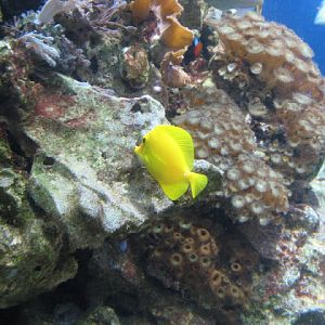 Blue Reef Aquarium 25.04.2009