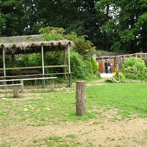 Cotswold Falconery 17.06.2007