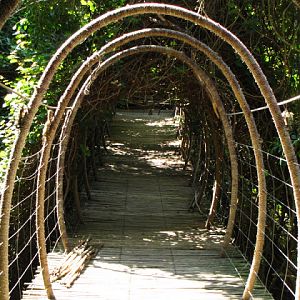 Monkeyland and Birds of Eden 17.11.2011