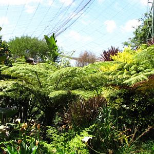 Monkeyland and Birds of Eden 17.11.2011