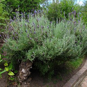 Monkeyland and Birds of Eden 17.11.2011