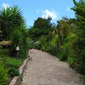 Monkeyland and Birds of Eden 17.11.2011