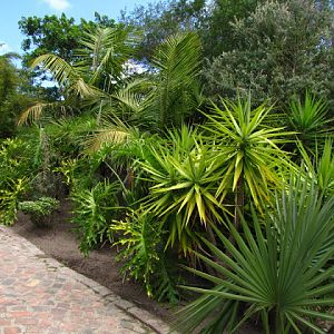 Monkeyland and Birds of Eden 17.11.2011