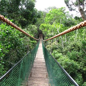 Monkeyland and Birds of Eden 17.11.2011