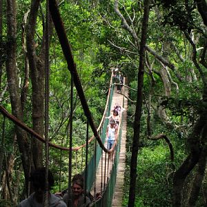 Monkeyland and Birds of Eden 17.11.2011