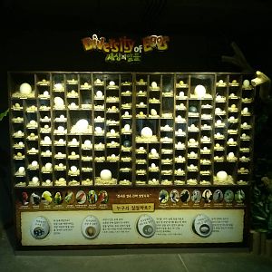 Egg display in Seoul zoo's Tropical Birds Hall