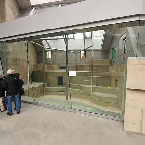 Pavilion of gorillas - first touring 11.11.2012