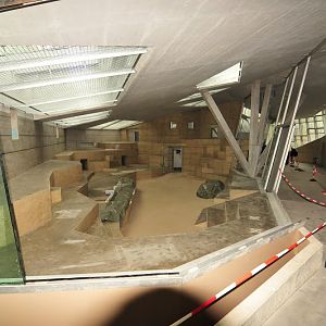 Pavilion of gorillas - first touring 11.11.2012