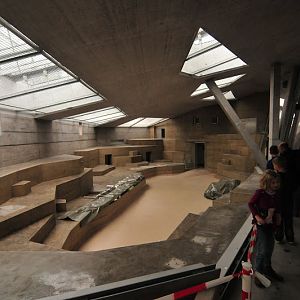 Pavilion of gorillas - first touring 11.11.2012