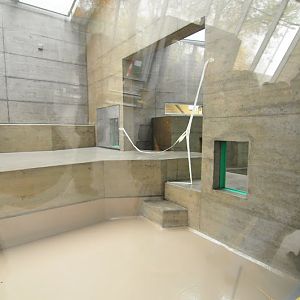 Pavilion of gorillas - first touring 11.11.2012