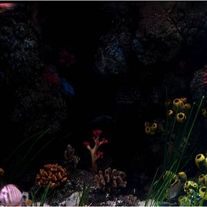 Reef View at Sea Life Porto, 21/04/11