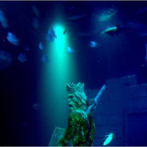 Neptune in the Main Tank at Sea Life Porto, 21/04/11