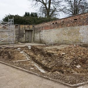 Clouded Leopard Development - 24/02/2013