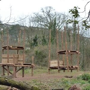 Gorilla Island, 2 March 2013