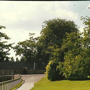 Looking towards the Polar Bears 19th July 1997