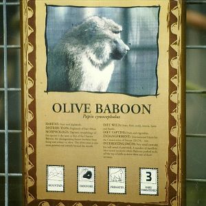 Signage 17th October 1997