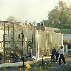 Primate cages 17th October 1997