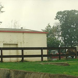 Where the Elephant trumpeted 17th October 1997