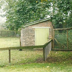 Where the Lechwe loitered 17th October 1997