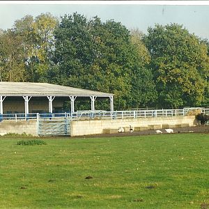 Previous incarnation of Rhino House 17th October 1997