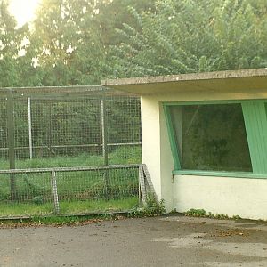 Where the Lion lounged II 17th October 1997