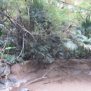 Bronx Zoo- Jungleworld