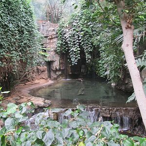 Bronx Zoo- Jungleworld