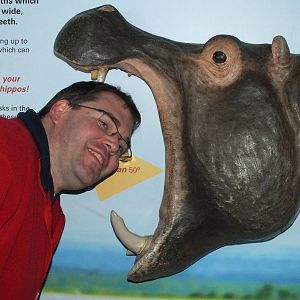 Zoogiraffe accepts his fate at Whipsnade Zoo - 23rd February 2013