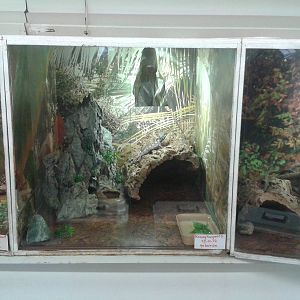 Rairing cages for reptiles