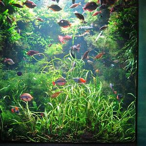 Mar. 2013-Worlds Rivers - Australia