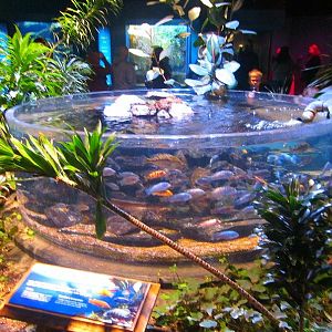 Mar. 2013-Worlds Rivers - Lake Malawi