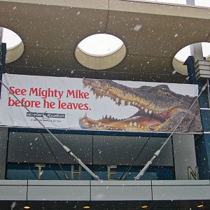 Mar. 2013-Mighty Mike sign