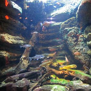 Mar. 2013-Worlds Rivers - Licking River