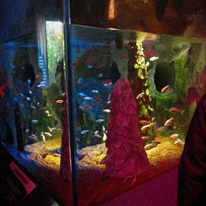 Mar. 2013-Worlds Rivers - Caves