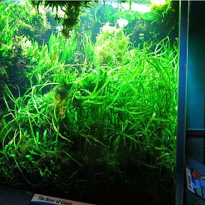 Mar. 2013-Worlds Rivers - Mekong River